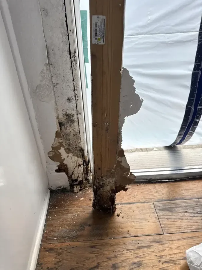 Water damaged stud and drywall edge next to hanging plastic sheeting