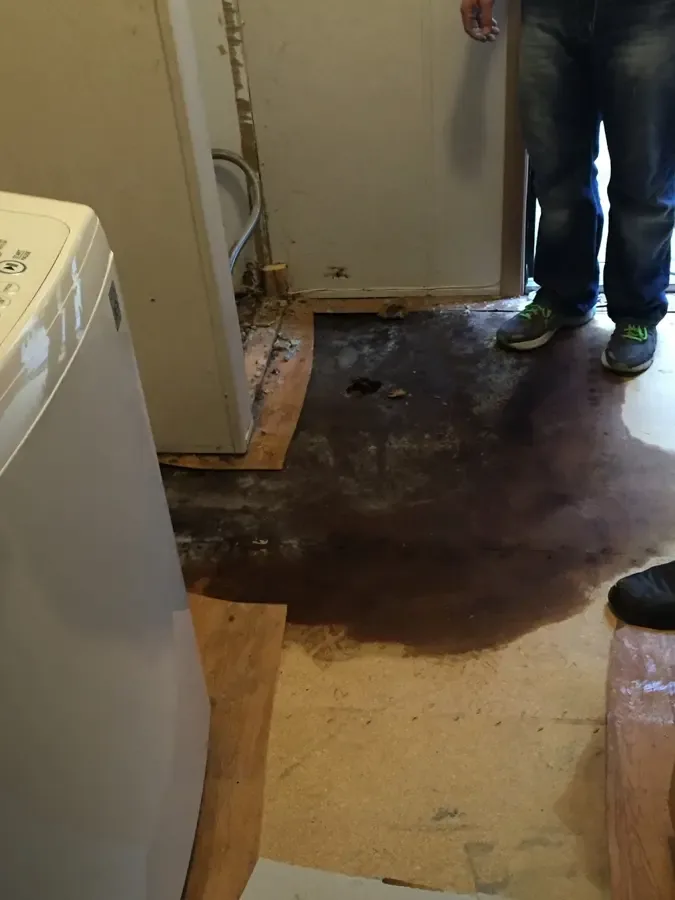 Laundry room floor wet beside a washer after a hose leak