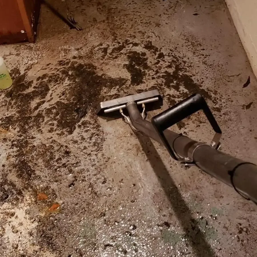 Extraction wand pulling muddy water out of soaked carpet in a home