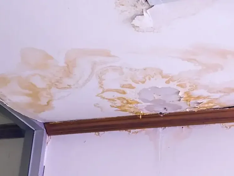 Brown water stains and peeling paint spreading across a ceiling after a leak