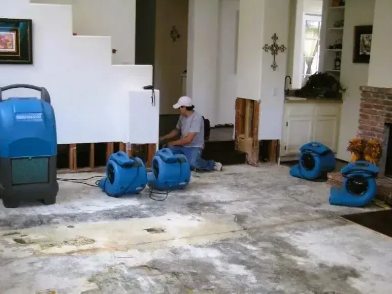 Air movers and a dehumidifier drying a room with the lower drywall cut away